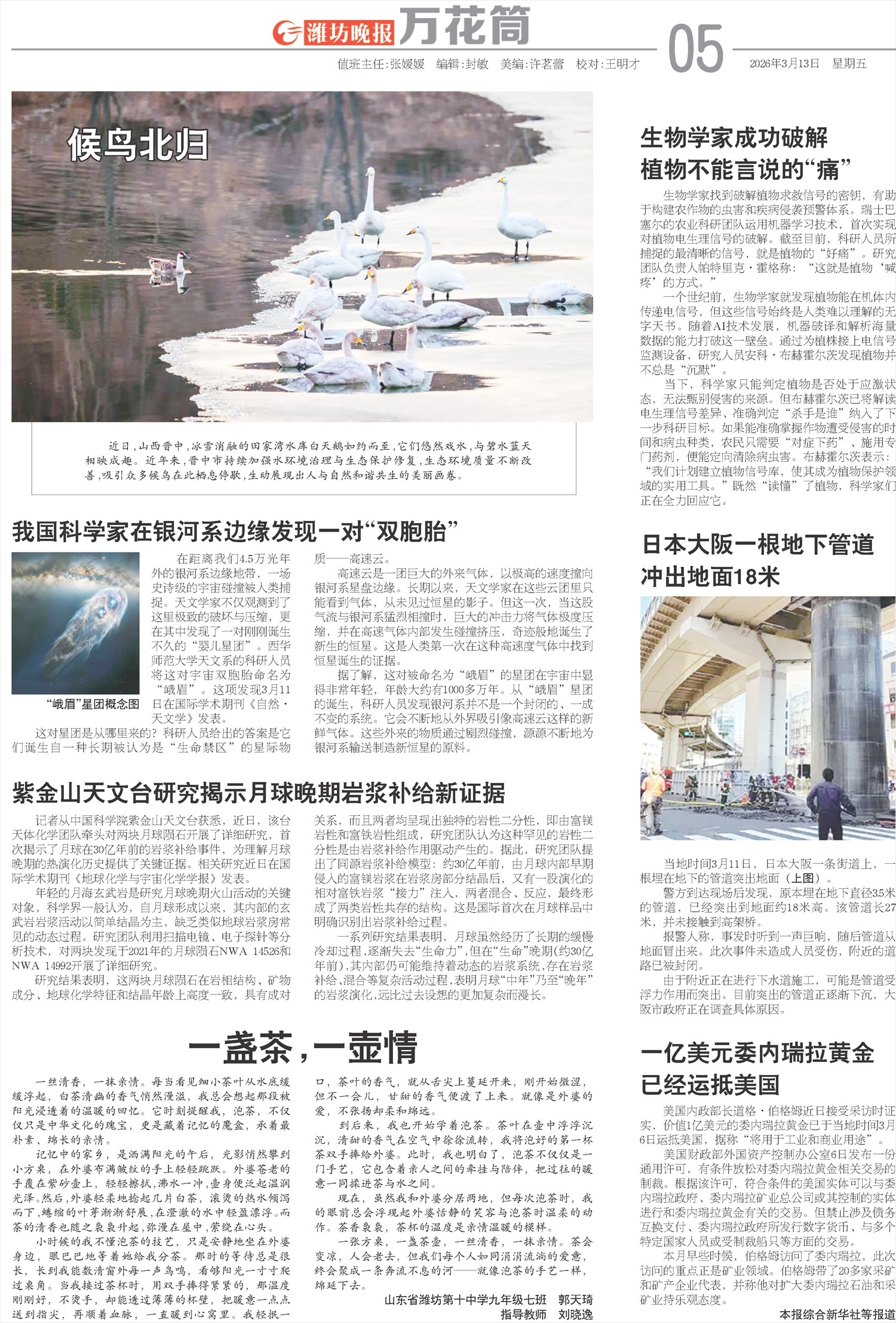 ****处理标记：[page]时， 字段 [] 在数据源中没有找到! ****