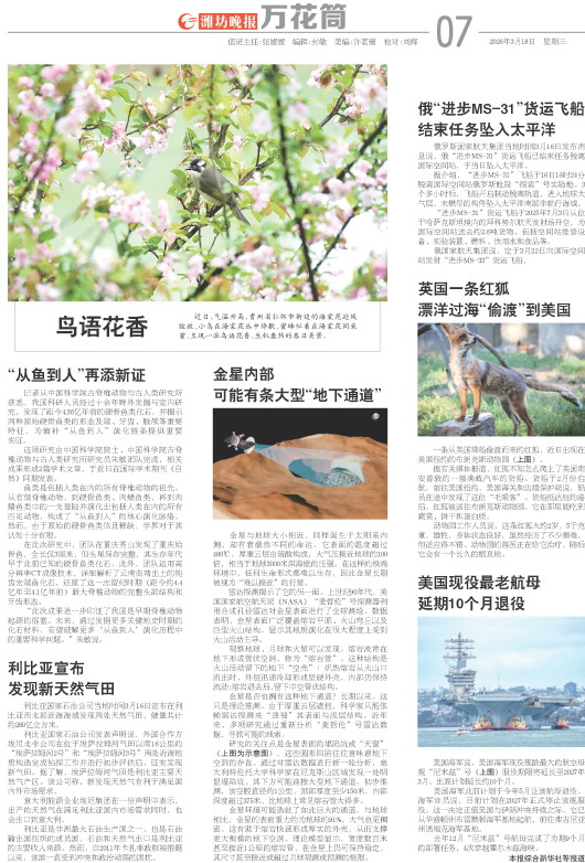 ****处理标记：[page]时， 字段 [] 在数据源中没有找到! ****