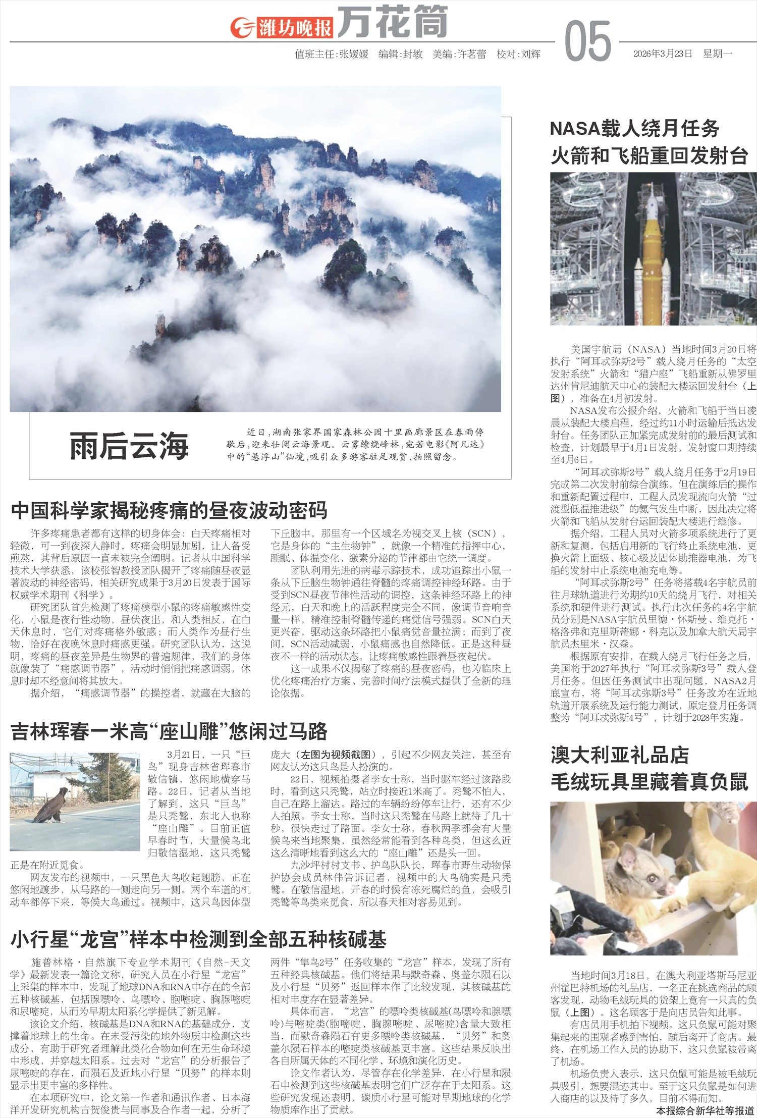 ****处理标记：[page]时， 字段 [] 在数据源中没有找到! ****