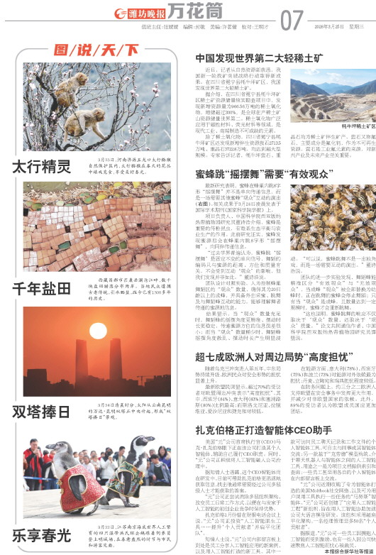 ****处理标记：[page]时， 字段 [] 在数据源中没有找到! ****