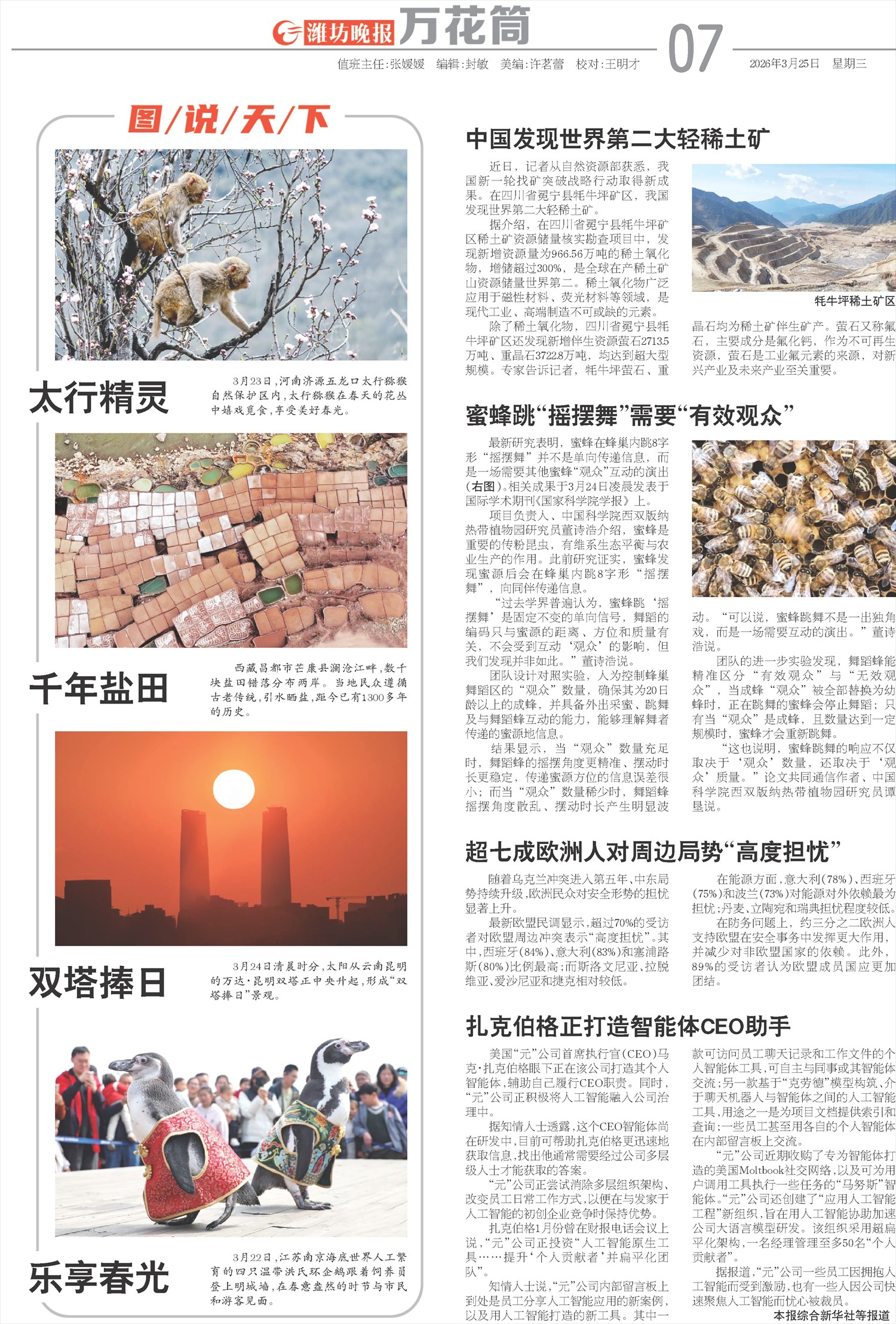 ****处理标记：[page]时， 字段 [] 在数据源中没有找到! ****