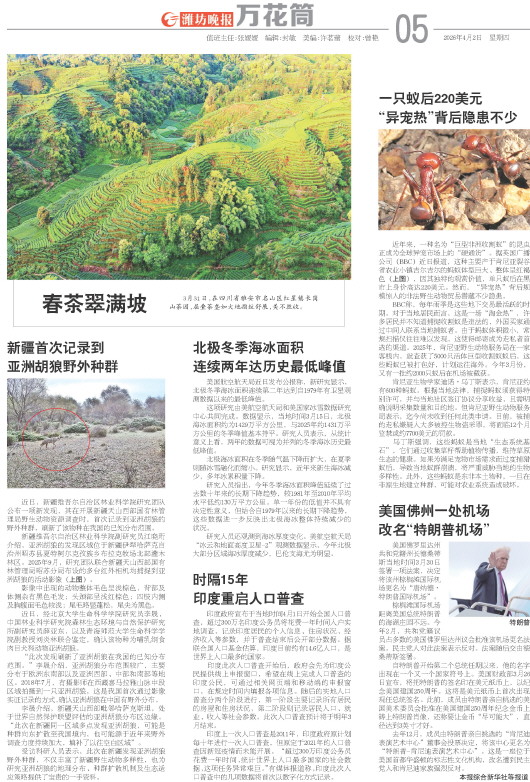 ****处理标记：[page]时， 字段 [] 在数据源中没有找到! ****