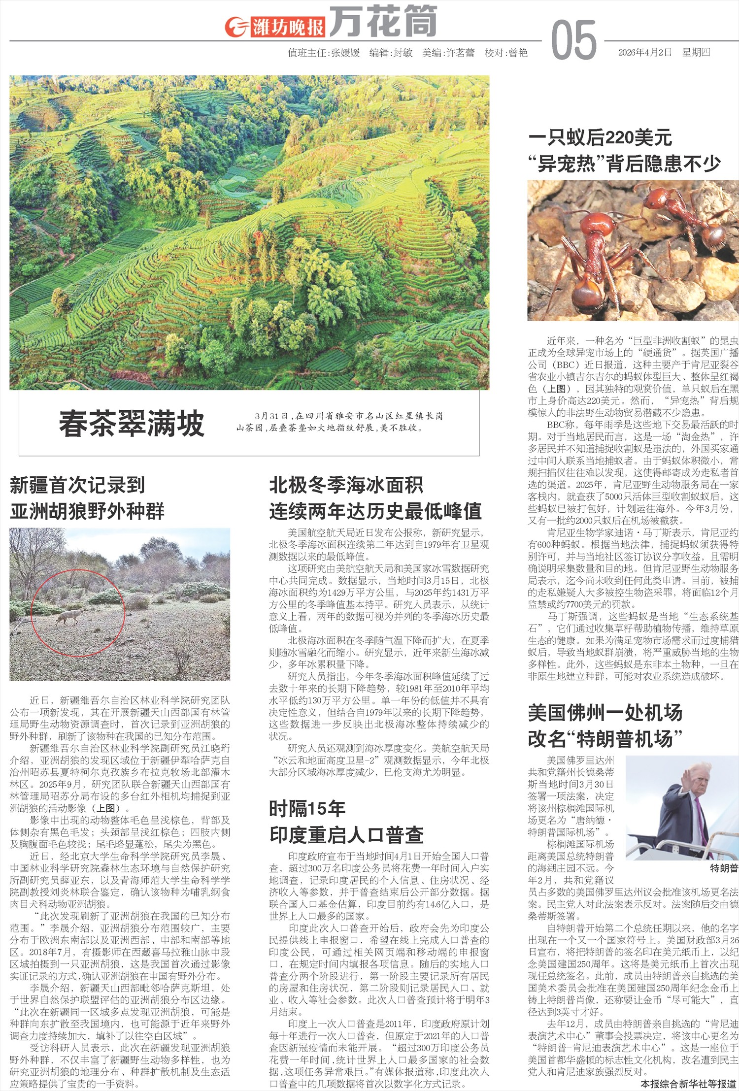 ****处理标记：[page]时， 字段 [] 在数据源中没有找到! ****