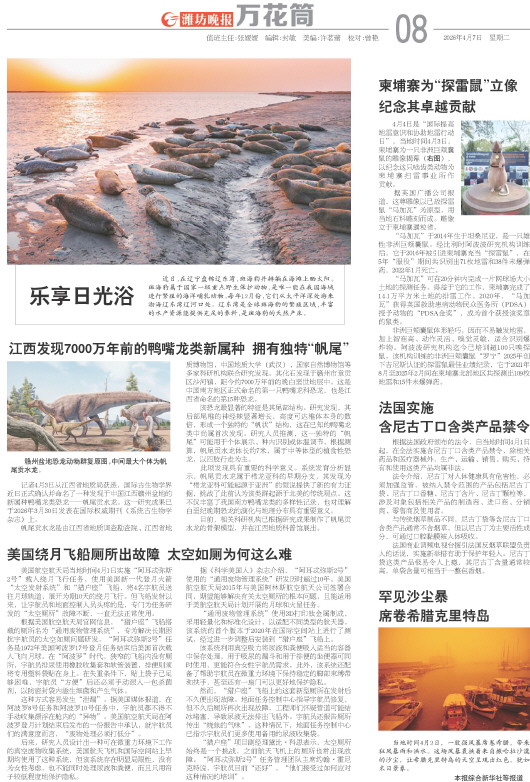 ****处理标记：[page]时， 字段 [] 在数据源中没有找到! ****