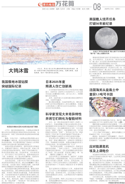 ****处理标记：[page]时， 字段 [] 在数据源中没有找到! ****