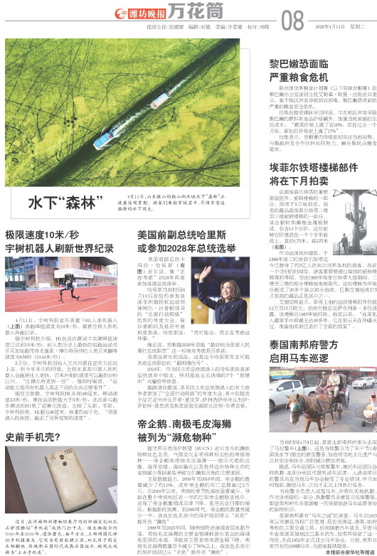 ****处理标记：[page]时， 字段 [] 在数据源中没有找到! ****