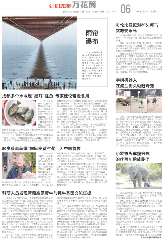 ****处理标记：[page]时， 字段 [] 在数据源中没有找到! ****