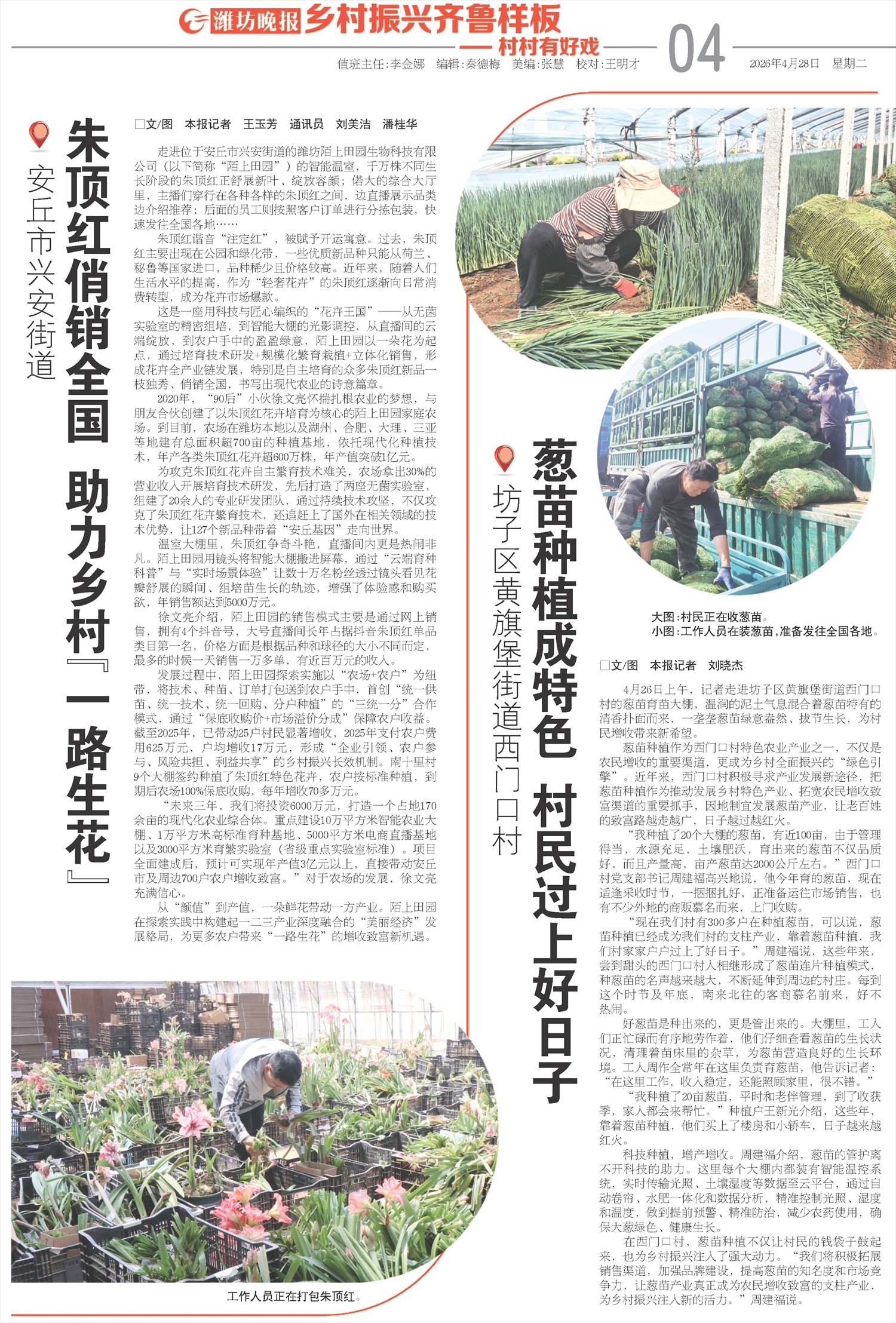 ****处理标记：[page]时， 字段 [] 在数据源中没有找到! ****