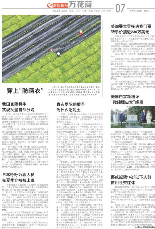 ****处理标记：[page]时， 字段 [] 在数据源中没有找到! ****