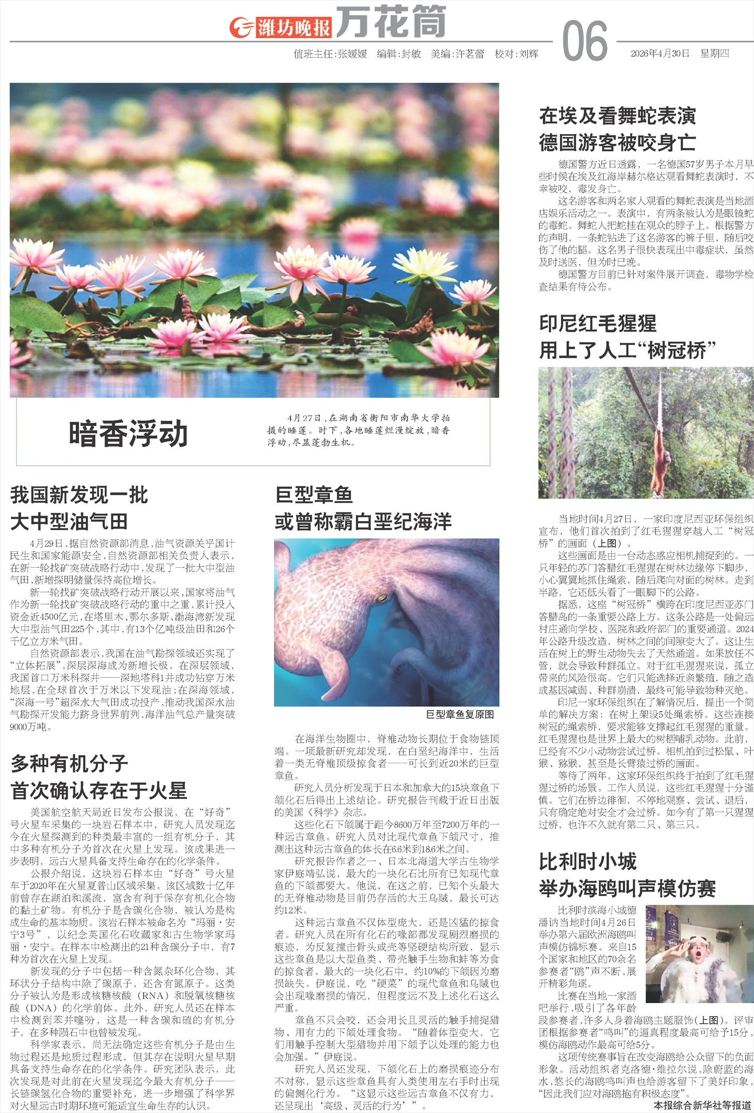 ****处理标记：[page]时， 字段 [] 在数据源中没有找到! ****
