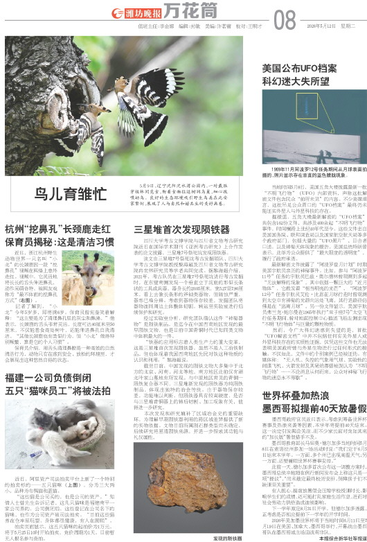 ****处理标记：[page]时， 字段 [] 在数据源中没有找到! ****