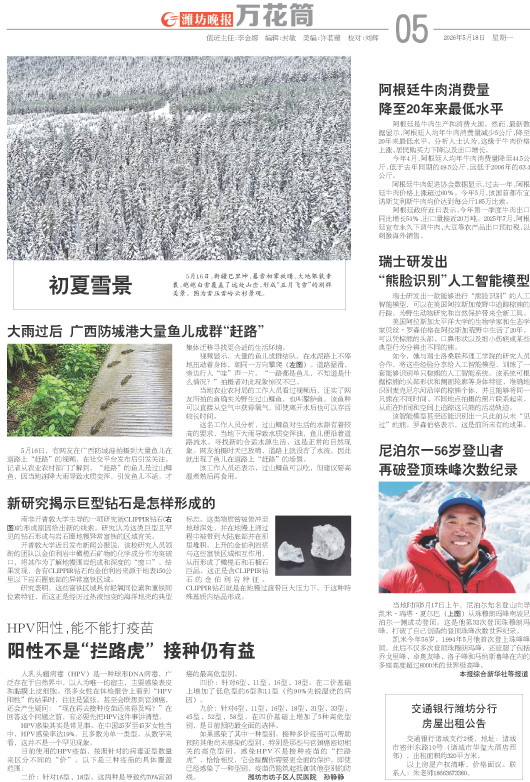 ****处理标记：[page]时， 字段 [] 在数据源中没有找到! ****