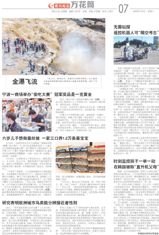 ****处理标记：[page]时， 字段 [] 在数据源中没有找到! ****