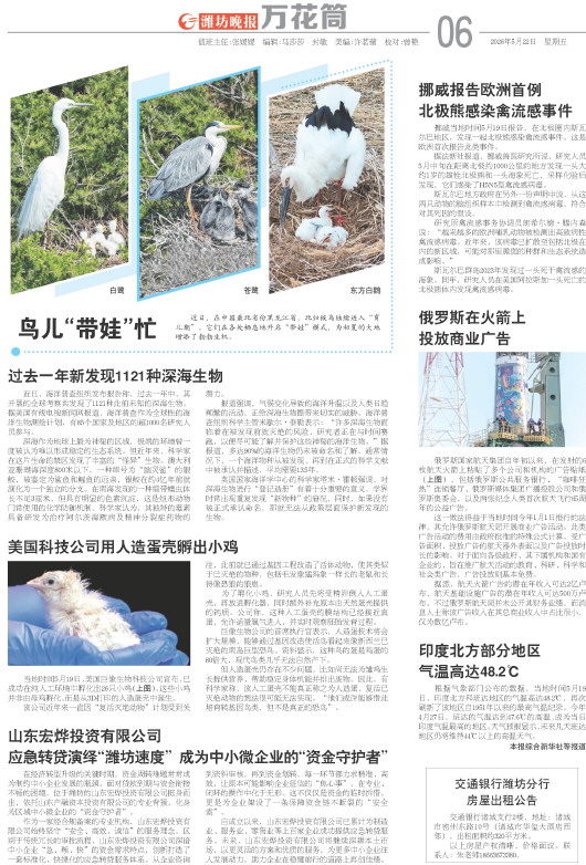****处理标记：[page]时， 字段 [] 在数据源中没有找到! ****