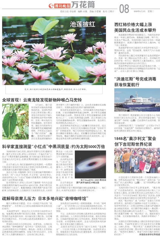 ****处理标记：[page]时， 字段 [] 在数据源中没有找到! ****