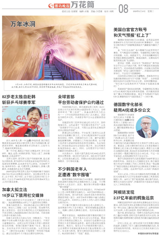 ****处理标记：[page]时， 字段 [] 在数据源中没有找到! ****