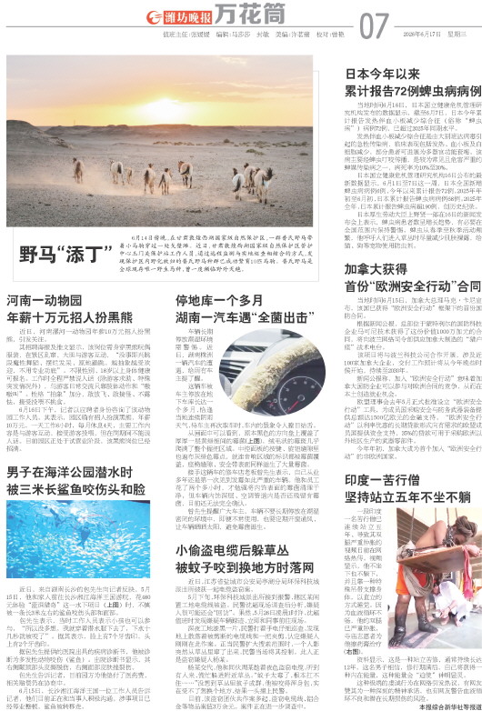 ****处理标记：[page]时， 字段 [] 在数据源中没有找到! ****
