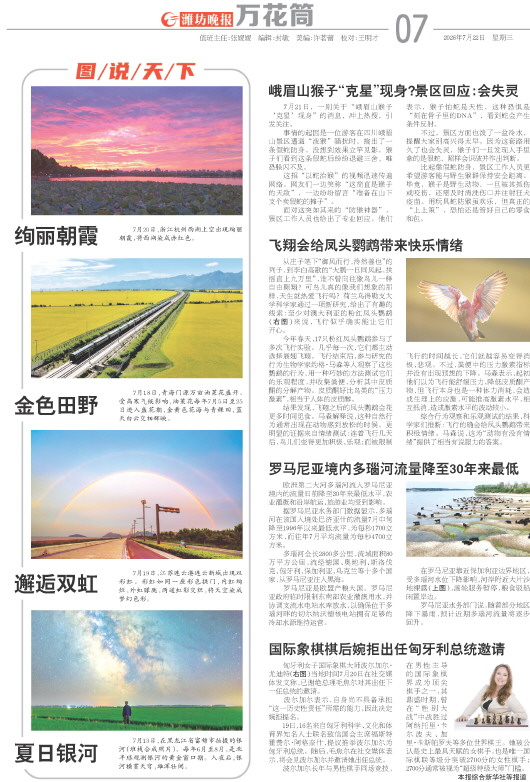 ****处理标记：[page]时， 字段 [] 在数据源中没有找到! ****