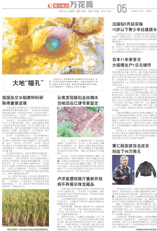 ****处理标记：[page]时， 字段 [] 在数据源中没有找到! ****