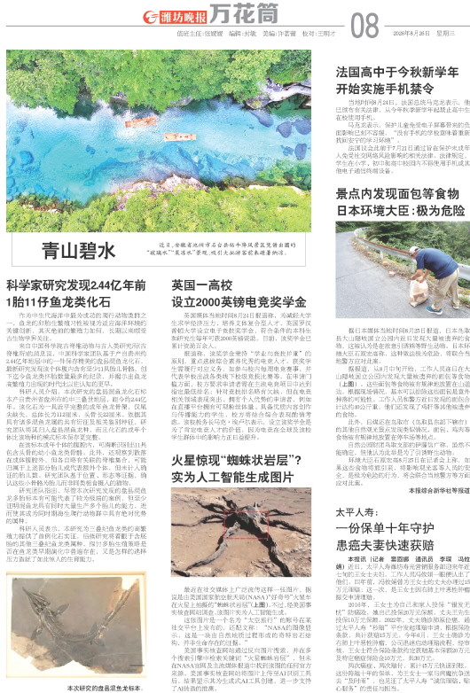 ****处理标记：[page]时， 字段 [] 在数据源中没有找到! ****